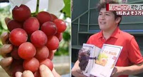 Chùm nho đắt giá