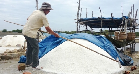 Diêm dân khóc ròng vì muối ế