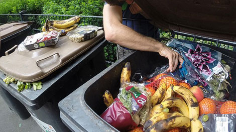 Đột phá công nghệ giúp giải quyết vấn đề rác thải thực phẩm