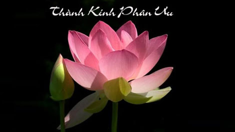 Lời chia buồn đến gia đình đồng chí Ngô Đức Cường