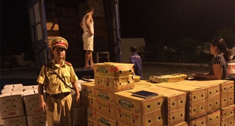 Thu giữ hơn 7 tấn hoa quả không rõ nguồn gốc