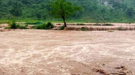 Người đàn ông mất tích do nhảy sông vớt lợn