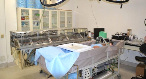 Kéo dài sự sống bằng phương pháp đông lạnh: Giấc mơ trường sinh