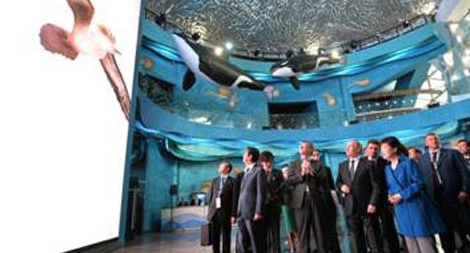 Thủy cung khổng lồ