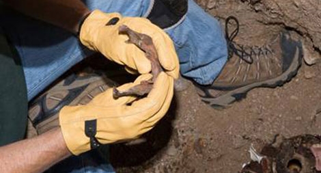 Khoa học pháp y về xương giúp điều tra phá án