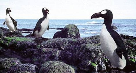 Dùng DNA đưa động vật tuyệt chủng trở lại