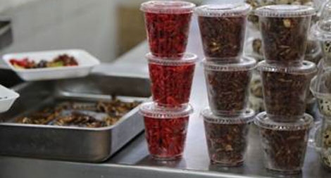 Thực phẩm tương lai sẽ là côn trùng?