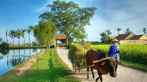 Agribank đồng hành xây dựng nông thôn mới