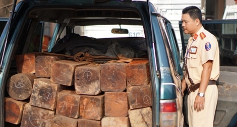 Mánh khóe vận chuyển gỗ trái phép trên QL13