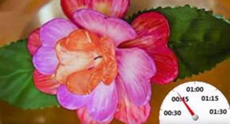 Vật liệu biến hình kiểu mới