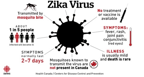 Virus Zika liệu có gây vô sinh ở nam giới?