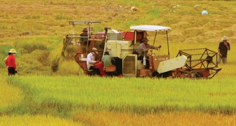 Những rào cản chính của doanh nghiệp khi đầu tư vào nông nghiệp