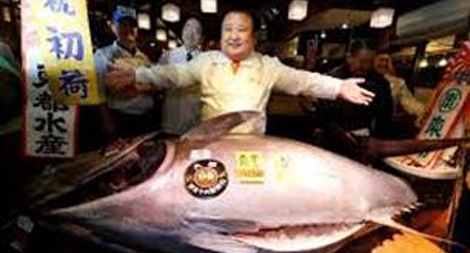 Gần 3.000 USD mỗi cân cá ngừ