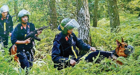 Cuộc săn lùng những "người ma" trốn truy nã