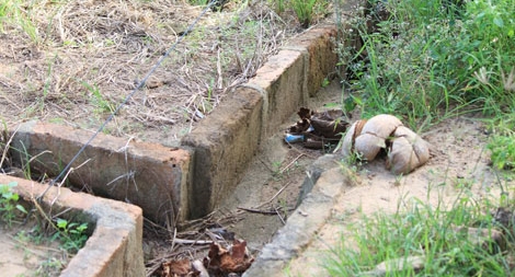 Bí ẩn phế tích Đền Posha ở Ninh Thuận