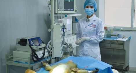 Trung Quốc in mạch máu 3D cấy ghép thành công vào khỉ