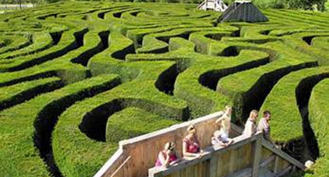 Mê cung dài nhất thế giới