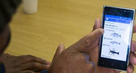 Ứng dụng smartphone cho nghề đánh bắt cá