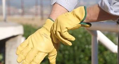 Găng tay chống chấn thương