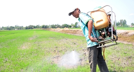 Bứt phá từ chính “luống cày cũ” (!) – kỳ 3