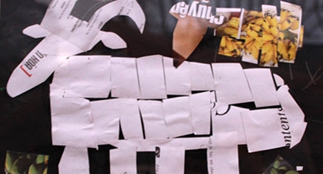 “Ba mẹ là lá chắn che chở suốt đời con”