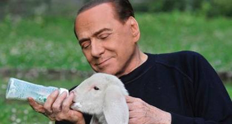 Từ chính khách – tỉ phú nổi tiếng thành… người chăn cừu