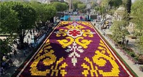 Thảm hoa tulip khổng lồ