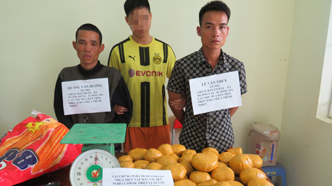 Hai trai bản vận chuyển 16kg nhựa thuốc phiện