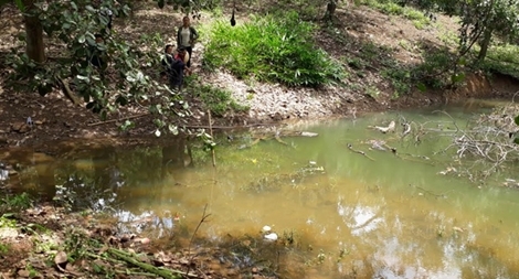 Đi bắt nòng nọc, 3 học sinh tiểu học bị đuối nước 