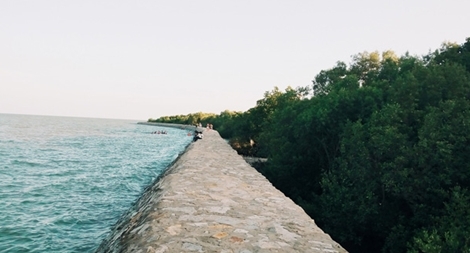 Cần Giờ còn thiếu sản phẩm du lịch đặc sắc