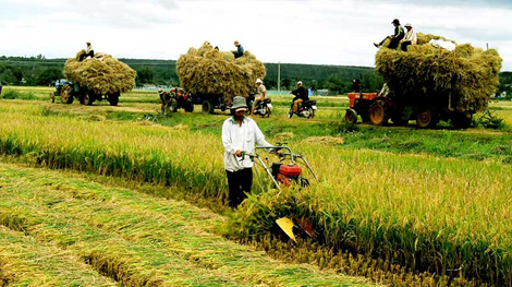 15 tiêu chí giám sát ngành nông nghiệp