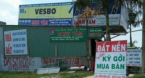 Cò đất khuynh đảo ngoại thành