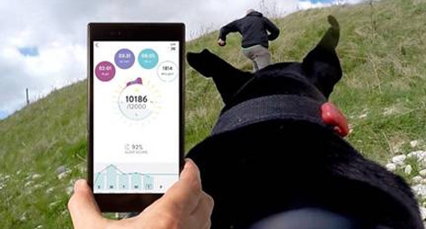 Ứng dụng công nghệ theo dõi thú cưng