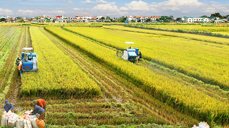 Cuộc thi “Báo chí viết về Nông thôn mới gắn với cơ cấu lại ngành nông nghiệp” 