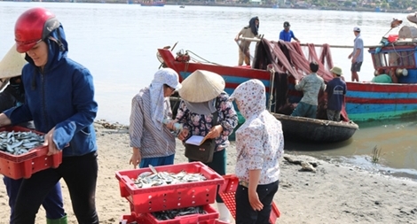 Nghiệp đoàn nghề cá chỗ dựa của ngư dân vươn khơi bám biển