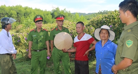 Hoàn lương trở thành người nông dân làm kinh tế giỏi