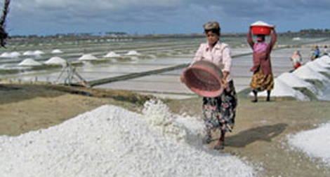 Những phát hiện thú vị về muối