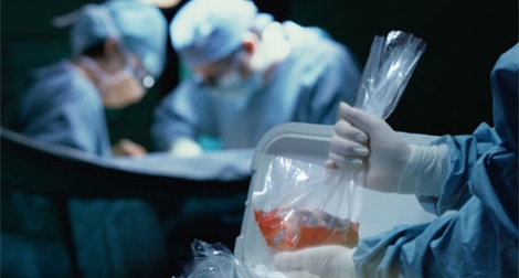 Thiếu nguồn tạng là rào cản lớn nhất của việc ghép tạng