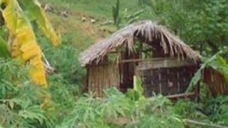 Xác chết đã phân hủy bên trong chòi hoang giữa rừng