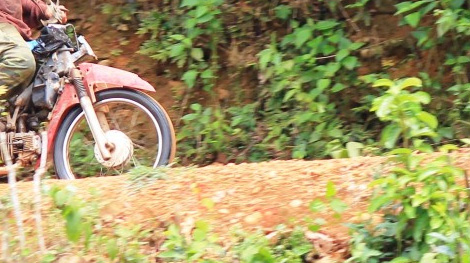 Xe máy mất thắng, hai cán bộ kiểm lâm tử nạn