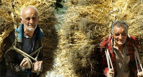 Bộ tộc có tuổi thọ trung bình 125 tuổi