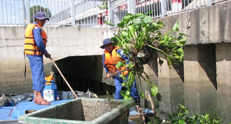 Những người giữ sạch bờ kênh