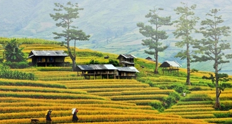 Tour du lịch biển vẫn “hot” trong dịp 2-9