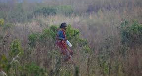 Ly dị chồng vì... không có nhà vệ sinh