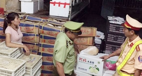 Hơn 1 tấn hoa quả “xịn” từ Trung Quốc suýt biến thành hoa quả Úc, Mỹ