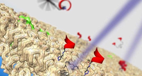 Sử dụng "động cơ" nguyên tử siêu nhỏ diệt tế bào ung thư
