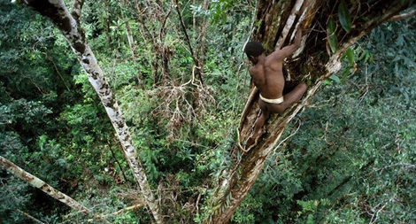 Bộ lạc sống trên cây ở Indonesia