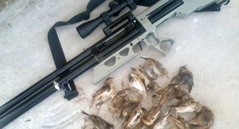 Dùng súng hơi nén bắn chim, đạn lạc trúng đầu cháu bé