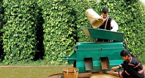 Nông nghiệp 4.0: Nói ít đi và bắt tay vào thực tiễn