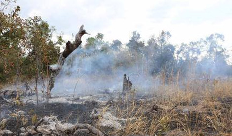 Kiểm điểm cá nhân, tập thể liên quan tới các vụ khai thác gỗ trái phép ở Đắk Lắk